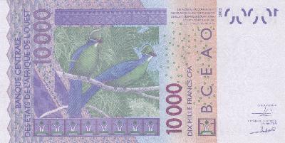 Beschrijving achterzijde: BIRDS